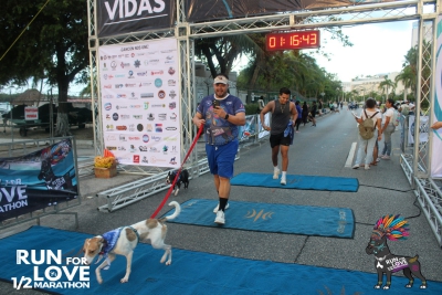Run for Love 2024